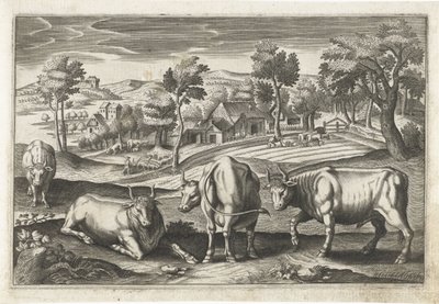 Cattle (Four-Legged Animals) (Animalivm Qvaddrvpedvm) by Anonymous
