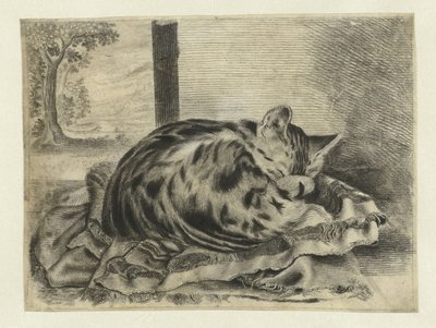 Sleeping Cat by Anonymous