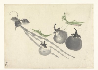 Grasshoppers by three persimmons by Anonymous
