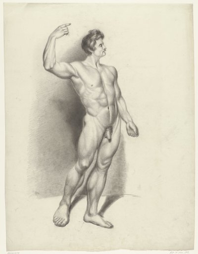 Standing Male Nude, Facing Right by Anonymous