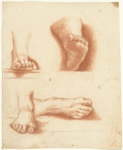 Study of Four Feet by Anonymous