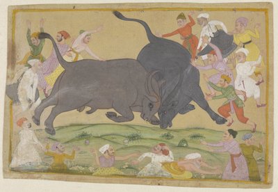 Water Buffalo Fight by Anonymous
