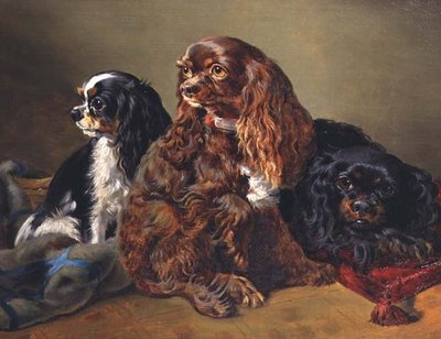 King Charles Spaniels by Anonymous Anonymous