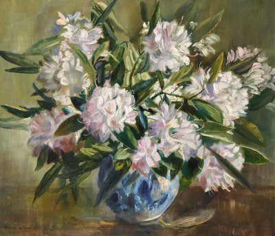 Rhododendrons, pale white and pink by Anthea Durose