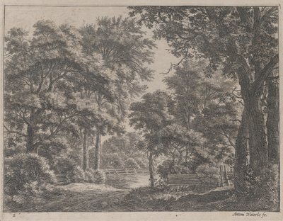 The Trimmed Groves by Anthonie Waterloo
