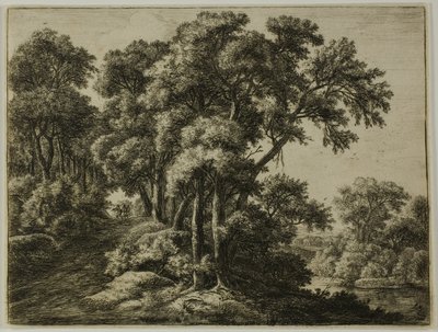 The Wooded Path by Anthonie Waterloo
