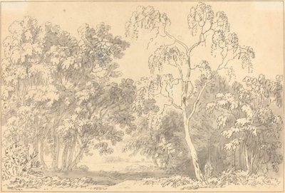 Wooded Landscape by Anthony Devis