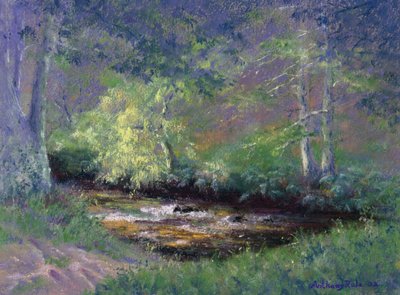 Forest Stream by Anthony Rule