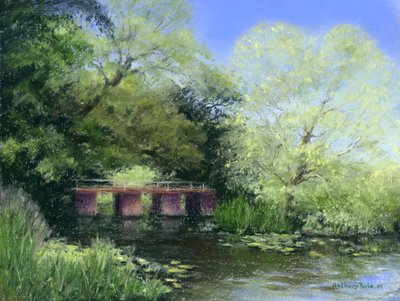 Quiet Culvert by Anthony Rule