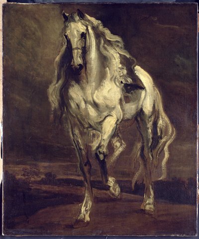 Unknown Image by Anthony van Dyck