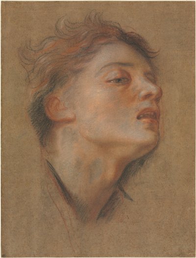 Head of a Young Man, 1715-1717 by Antoine Coypel