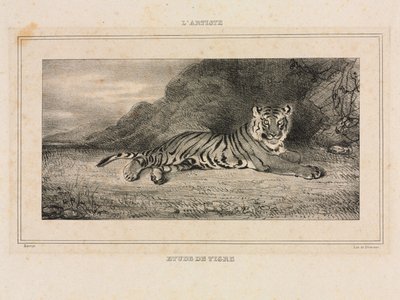Study of a Tiger by Antoine Louis Barye