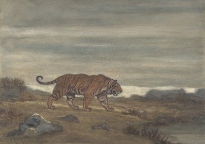 Tiger Approaching Pool, 1810-75 by Antoine Louis Barye