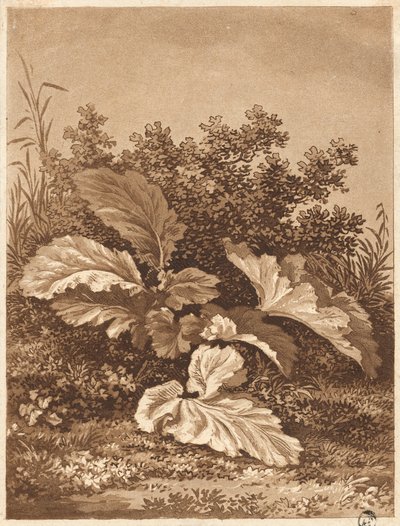 A Study of Leaves by Anton Balzer