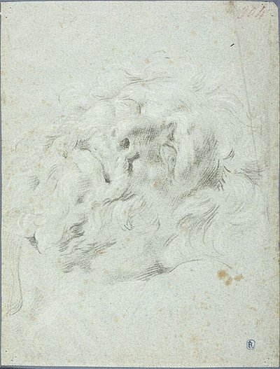 Head from Laocoon Group by Anton Domenico Gabbiani