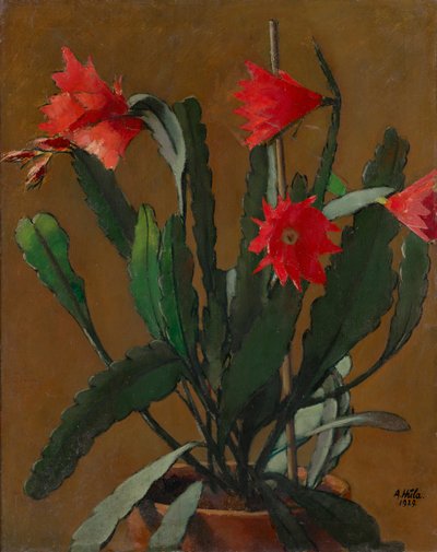 Still Life with Blooming Cactus by Anton Hula