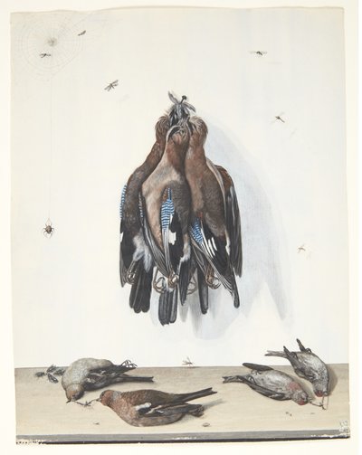 Still Life with Birds by Anton Ignaz Hamilton