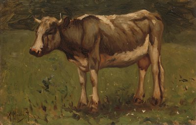 Cow by Anton Mauve