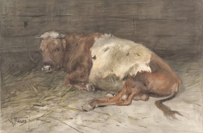 Lying Young Bull by Anton Mauve