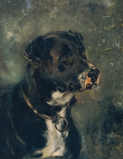 Head of a Butcher