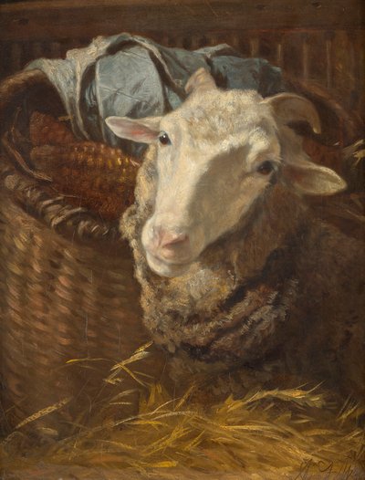 A Sheep by Anton Schrodl