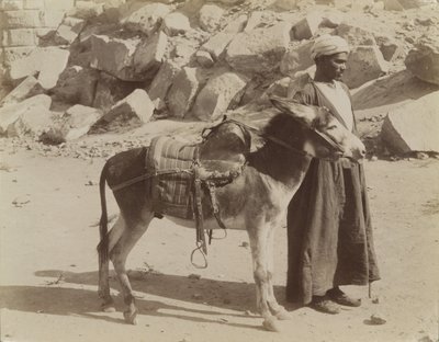 Bourier et Bouriquer, Egypt by Antonio Beato