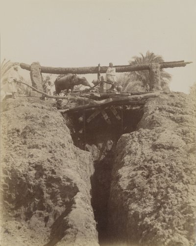 Sehaquieh, Egypt by Antonio Beato