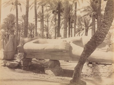 Statue of Ramesses at Saqqara by Antonio Beato