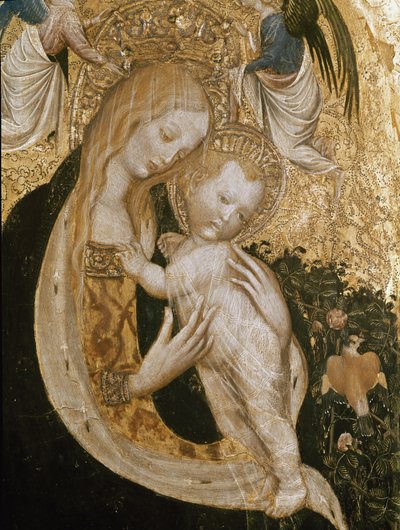 Virgin with quail by Antonio Pisanello