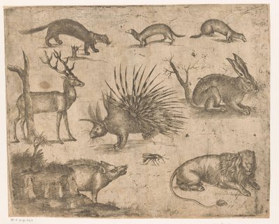 Study Sheet with Various Animals by Antonio Tempesta (attributed to)