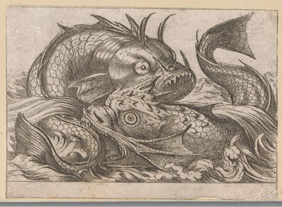 Two Fighting Fish (Fighting Animals) by Antonio Tempesta