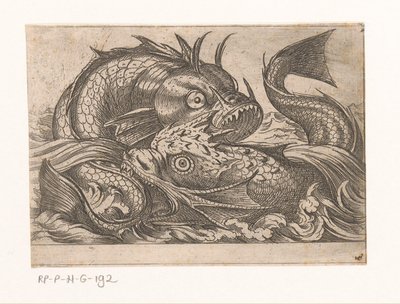 Two Fighting Fish (Fighting Animals) by Antonio Tempesta