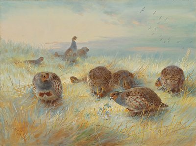 A Frosty Dawn by Archibald Thorburn