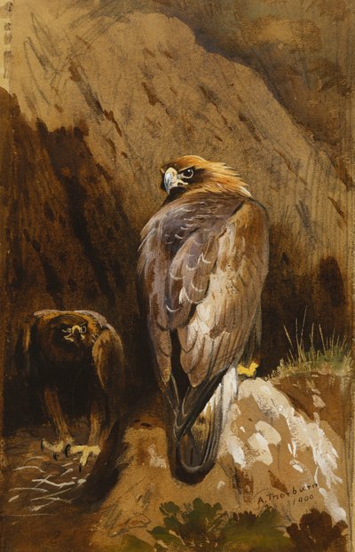 Golden Eagles at Their Eyrie by Archibald Thorburn