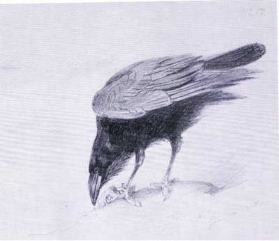 Raven, pub. by Book Club Associates by Archibald Thorburn