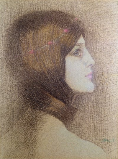 Portrait of a Woman by Armand Point