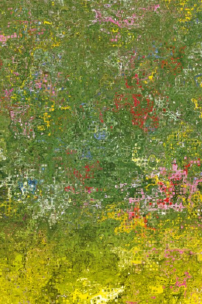 Flower Meadow by Armin Mumper