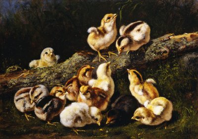 Little Pets by Arthur Fitzwilliam Tait