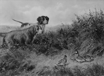 On Point, 1874 by Arthur Fitzwilliam Tait