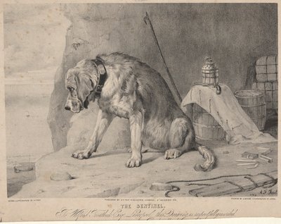 The Sentinel by Arthur Fitzwilliam Tait