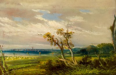 Dundee from Strips of Craigie by Arthur Lee