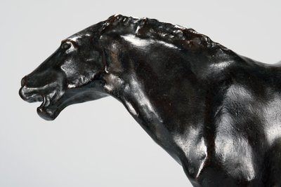 Colt by Arthur Putnam
