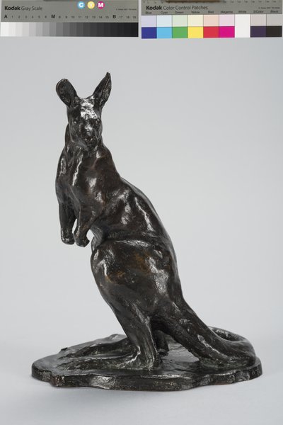 Kangaroo by Arthur Putnam