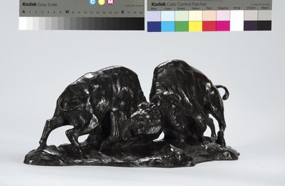 Two Fighting Buffalo by Arthur Putnam