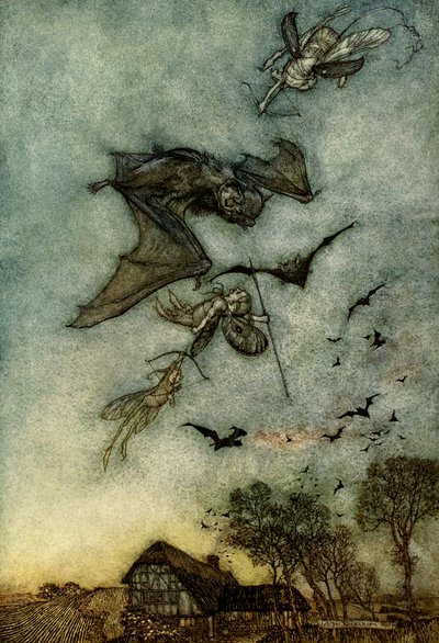 A Midsummer Night