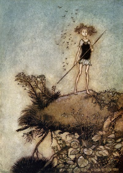 A Midsummer Night