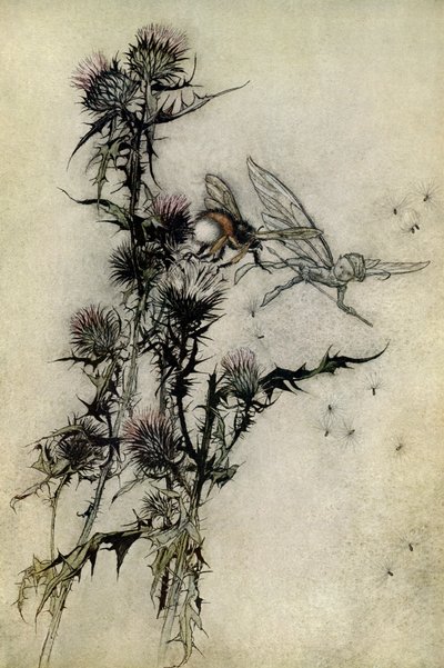 A Midsummer Night