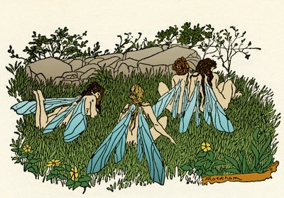 A Midsummer Night