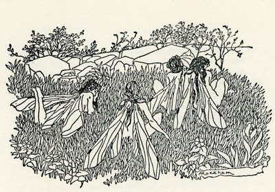A Midsummer Night
