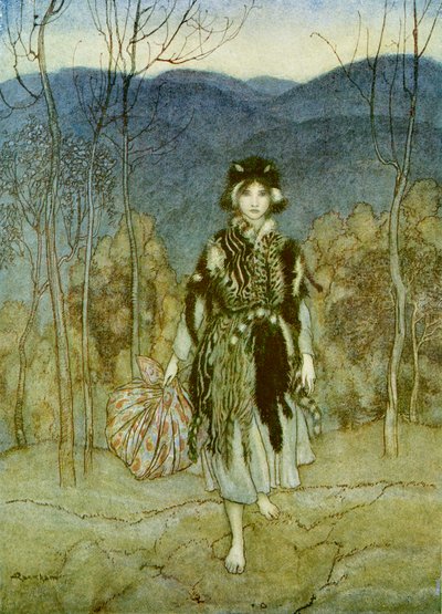 Catskin by Arthur Rackham